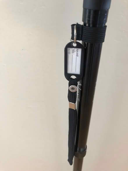 Photo of free Big Alex Walking Cane (CV: Redwood & Seven Hills area) #4