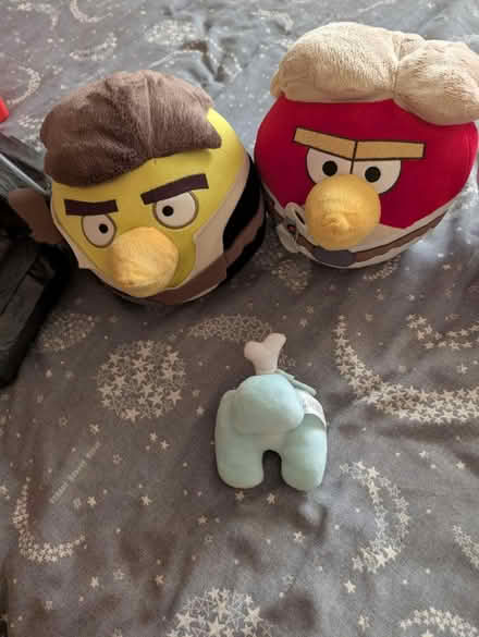 Photo of free Teddies (Woodley RG5) #1