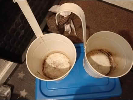 Photo of free Hanging plant pots (SW15 Putney Vale) #2