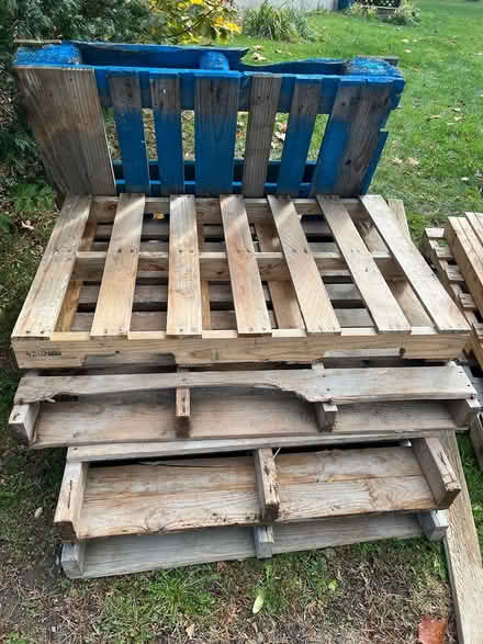 Photo of free Wood pallets, boards (Benny Lane off 96B) #1