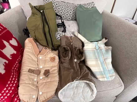Photo of free Small size dog coats (Eastbourne BN237) #1