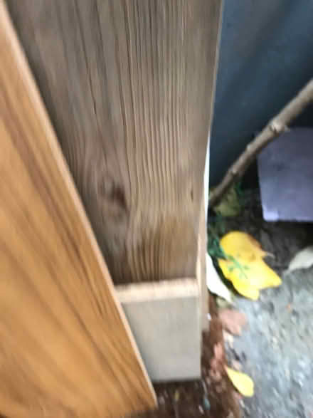 Photo of free Random wood (Stoke Newington N16) #2