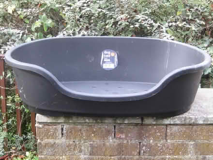 Photo of free Large Dog Bed (Springfield, Chelmsford, CM1) #1