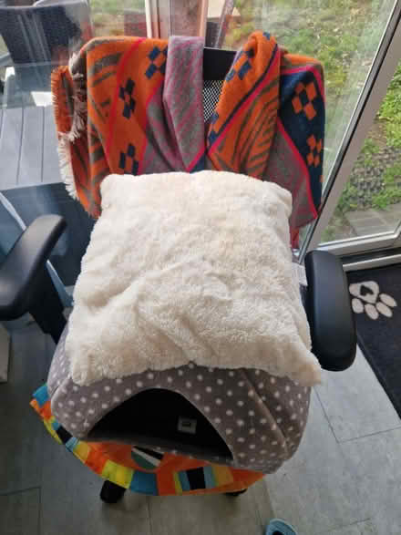 Photo of free Cat/Small dog bed (CB216XR) #2