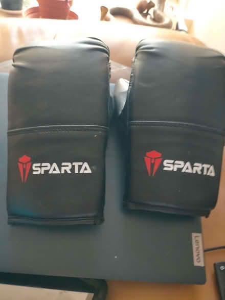 Photo of free Pair of sparring gloves. (Vogue TR16) #1