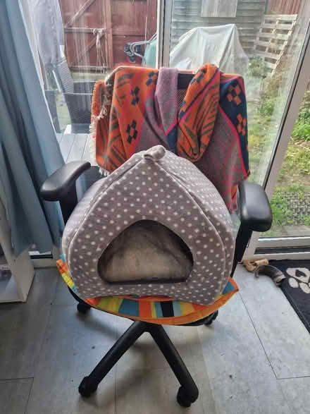 Photo of free Cat/Small dog bed (CB216XR) #1