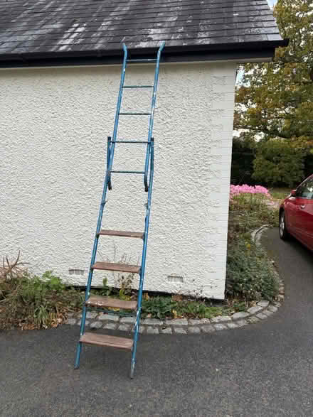 Photo of free Swingback folding step ladder (West Horsley KT24) #3
