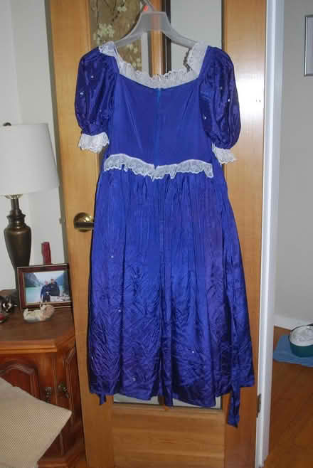 Photo of free Princess dress, Size 7-8 kid (gatineau ave & de bourgogne st) #2