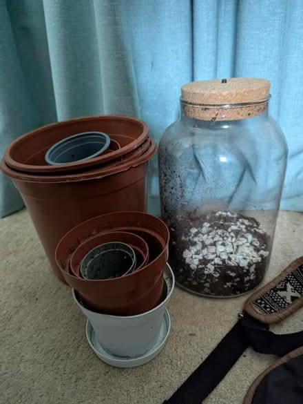 Photo of free Plant pots (BS7) #1