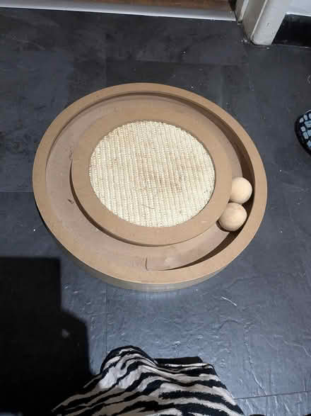 Photo of free Cat toy (GL1) #1