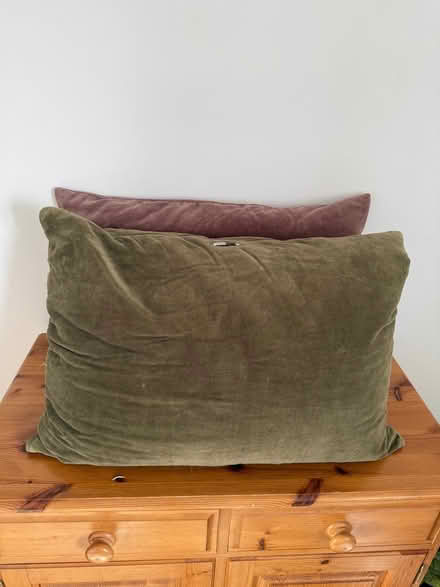 Photo of free 7 x cushions (Bloxham OX15) #2