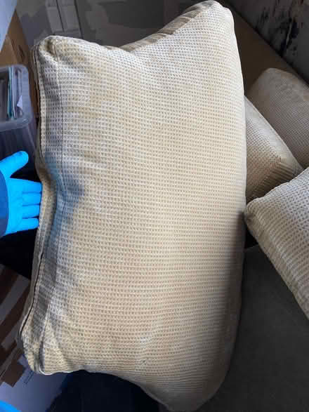 Photo of free Sofa Cushions (Norwich) #2