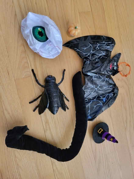 Photo of free Halloween items (Montreal road and St Laurent) #1