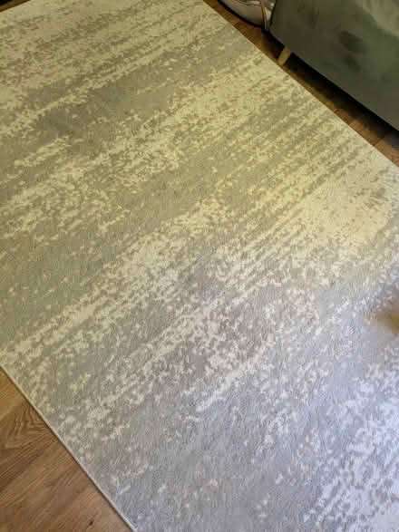 Photo of free Large rug (Acton Central Overground W3) #1