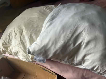 Photo of free Pillows (North Hollywood) #1