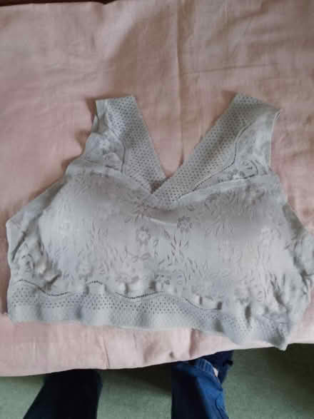 Photo of free Ladies soft bra, size 14 (Whoberley CV5) #1