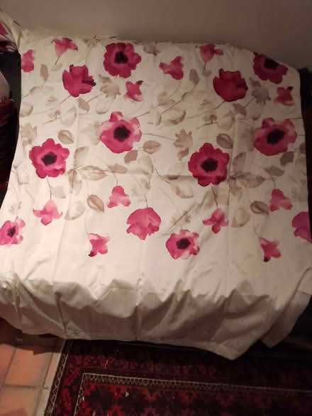 Photo of free Pretty curtains (North Ascot SL5) #1
