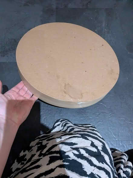 Photo of free Cat toy (GL1) #2