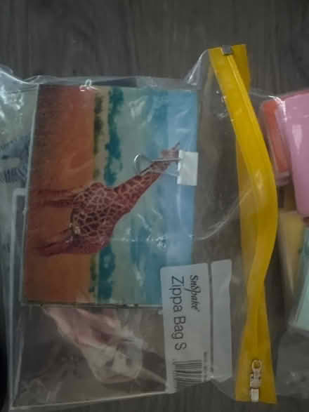 Photo of free Animal picture cards (SW11 Battersea) #1