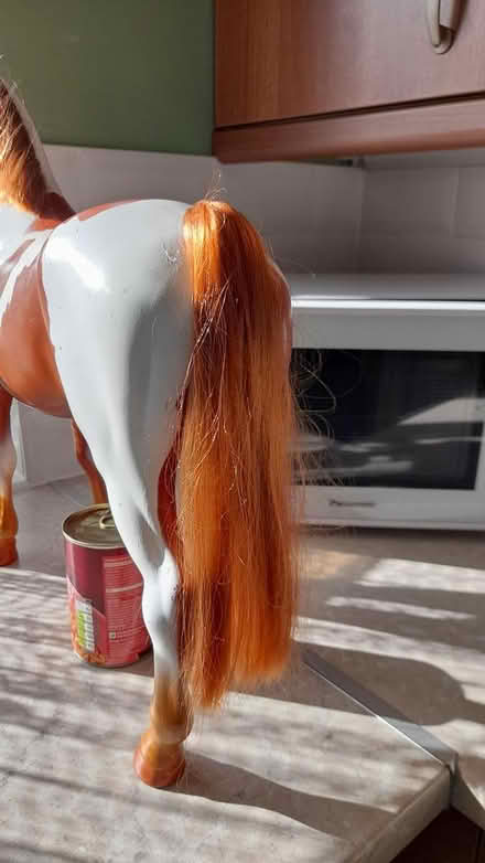 Photo of free big horse (Marshalswick St.Albans) #1