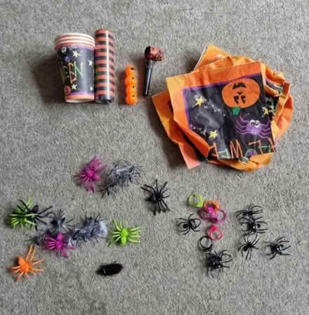 Photo of free Halloween Items (SL6. (Maidenhead)) #2