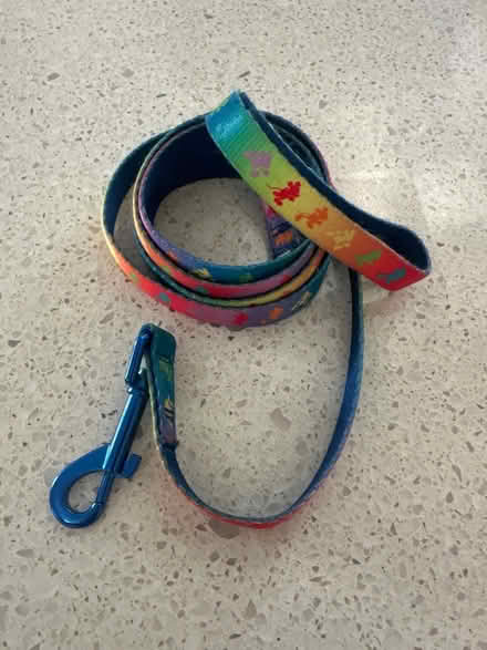 Photo of free XS dog harness and clothes (Torrance 90501 near Hull MS) #4