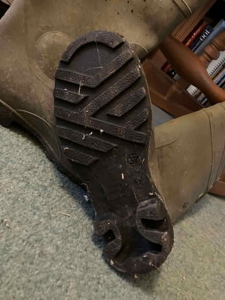 Photo of free Dunlop steel toe cap wellies (Critchill BA11) #3