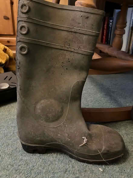 Photo of free Dunlop steel toe cap wellies (Critchill BA11) #1