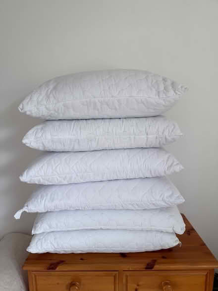 Photo of free 6 x pillows / cushions (Bloxham OX15) #1