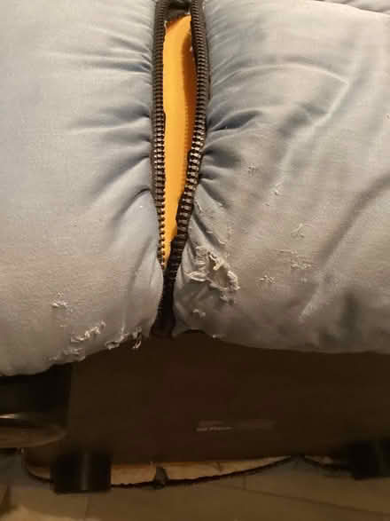 Photo of free Sectional couch (York mills and leslie) #4