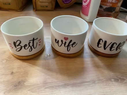 Photo of free 3 Small Plant Pota (Bracknell RG12) #1