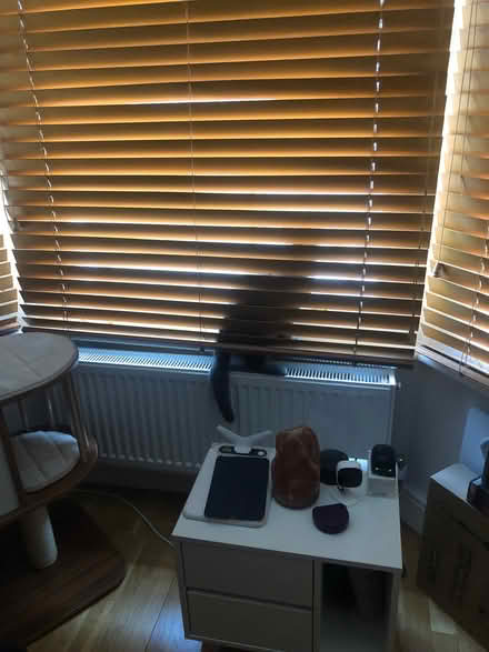 Photo of free Wooden blinds (Walham Green SW6) #1