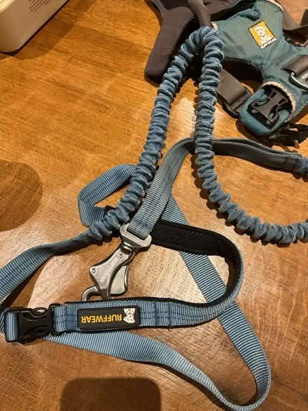 Photo of free Dog accessories - harness, toys etc (Tolworth) #2