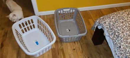 Photo of free Laundry baskets (South beacon hill) #1