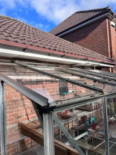 Photo of free Glass lean-to green house (Ashbourne DE61DD) #2