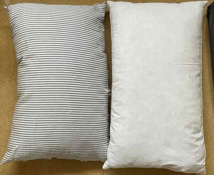 Photo of free Feather pillows (BN27) #1