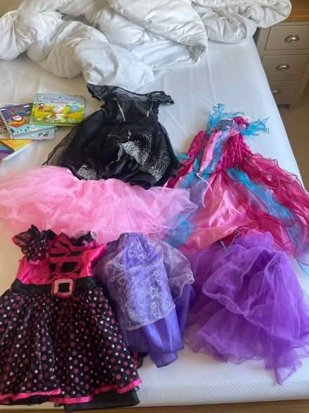Photo of free Dressing up dresses (Alnwickhill EH16) #1