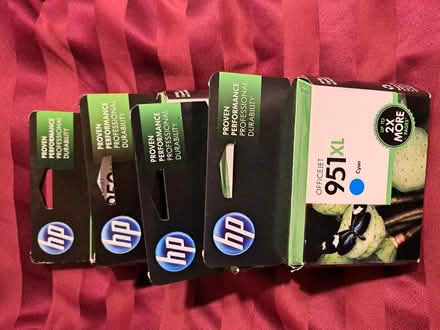 Photo of free Youes for the taking (Beverly Hills) #1