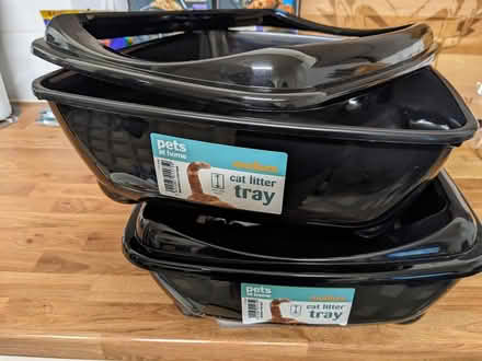 Photo of free kitten litter trays x 2 (snodland) #3
