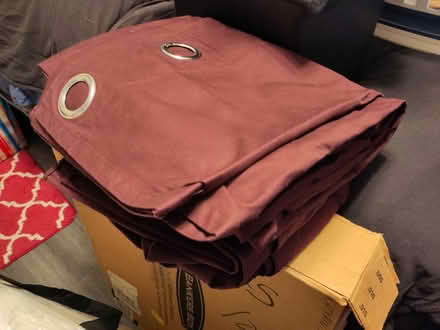 Photo of free Maroon blackout curtains (Capitol Hill) #1