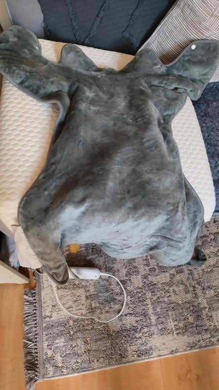 Photo of free HeaT pad in need of quick repair (Wodehouse LS2) #3