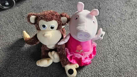 Photo of free Monkey and Peppa Pig (Wigmore, Gillingham) #1