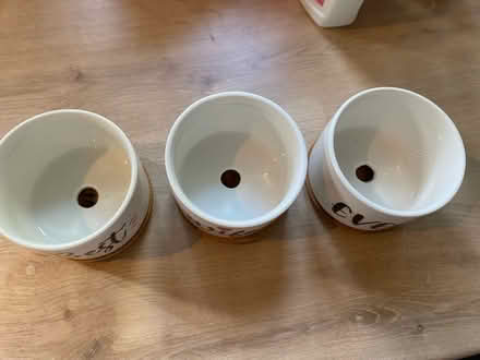 Photo of free 3 Small Plant Pota (Bracknell RG12) #2