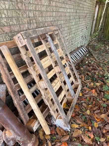 Photo of free Wooden pallets (Shotesham) #1