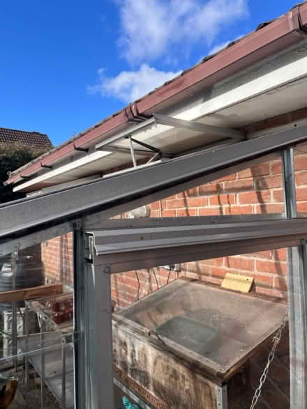 Photo of free Glass lean-to green house (Ashbourne DE61DD) #4