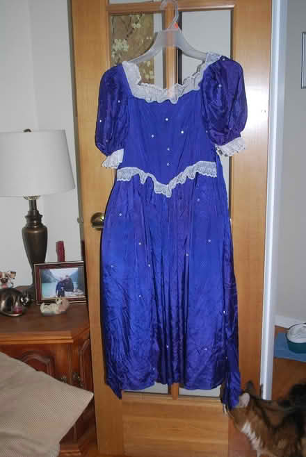 Photo of free Princess dress, Size 7-8 kid (gatineau ave & de bourgogne st) #1