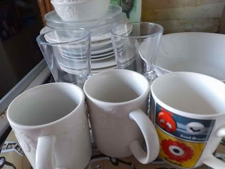 Photo of free Plates etc (Havant PO9) #2