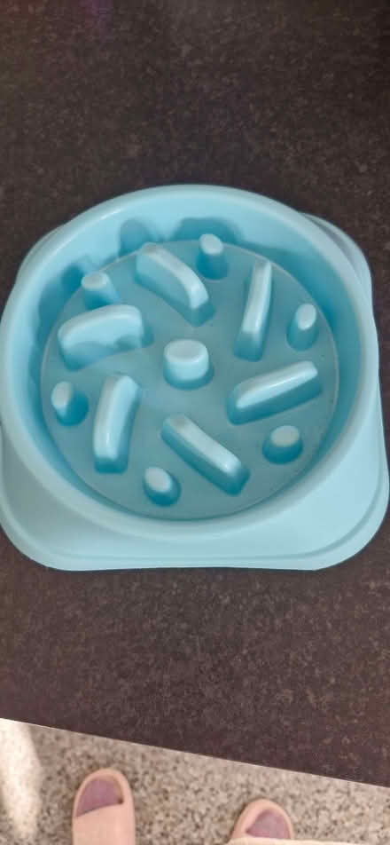 Photo of free Slow feeder and lick mat for dogs (Hampden Park BN22) #1