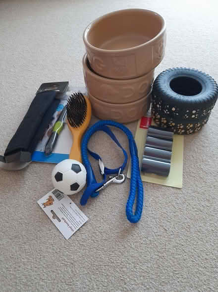Photo of free Dog items (Tutbury DE13) #1