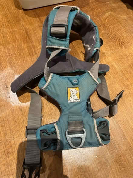 Photo of free Dog accessories - harness, toys etc (Tolworth) #1